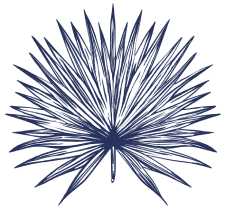 This image features a stylized, symmetrical design resembling a sunburst or starburst with elongated, pointed lines radiating outward.