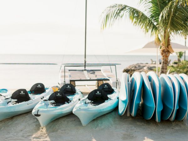 The image shows kayaks and stand-up paddleboards arranged on a sandy beach by the ocean, with a palm tree and a lounge chair in the background.