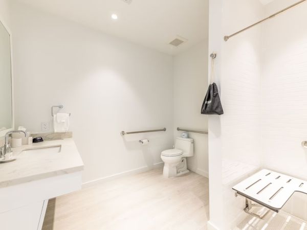 The image shows a clean, modern, and accessible bathroom with a shower, toilet, and sink, all equipped with safety grab bars.