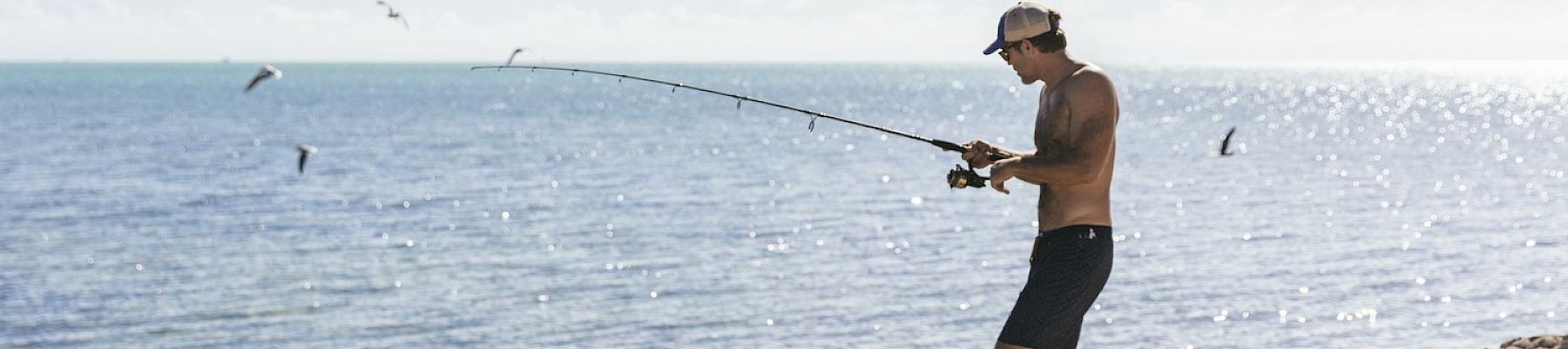 A person is standing on a rocky shore, fishing with a rod, under a clear sky by the sea. A few birds are flying in the background.
