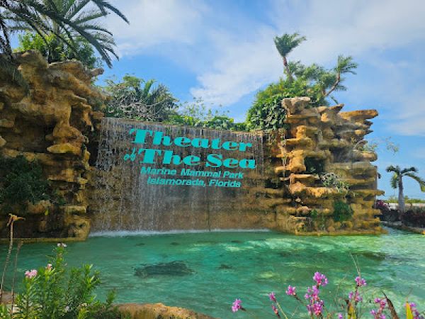 Waterfall with "Theater of the Sea Marine Animal Park, Islamorada, Florida" sign, surrounded by greenery and flowers, and a clear, turquoise pool.