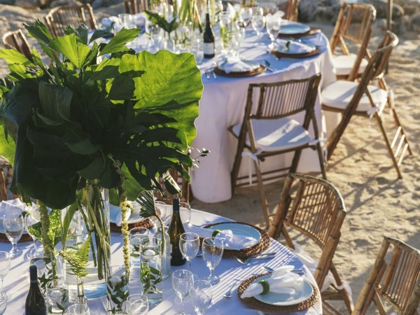 This image shows an elegantly set outdoor table by a waterfront, with white linens, large green centerpieces, and wooden chairs on a sandy surface.