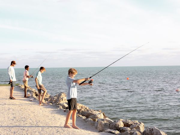 Four people are fishing on a rocky shore, facing the ocean under a clear sky.