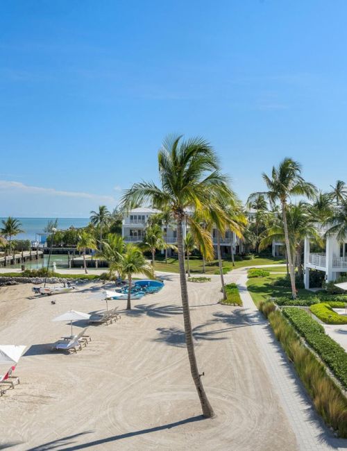 A sandy beach with palm trees, lounge chairs, and umbrellas, adjacent to a landscaped area and buildings, under a clear blue sky.