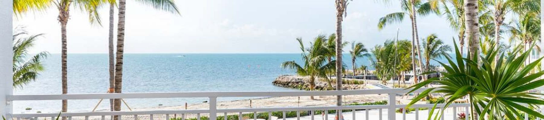 A tropical beachfront view with palm trees, a patio table set for breakfast, and a railing overlooking the ocean on a sunny day.
