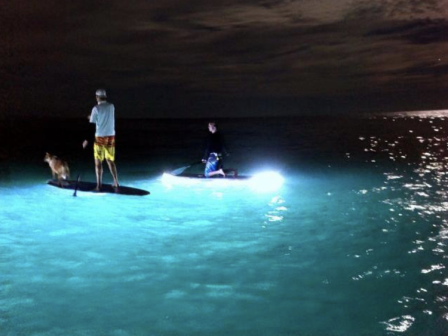 Two people are paddleboarding at night on illuminated boards under a bright moon in a cloudy sky.