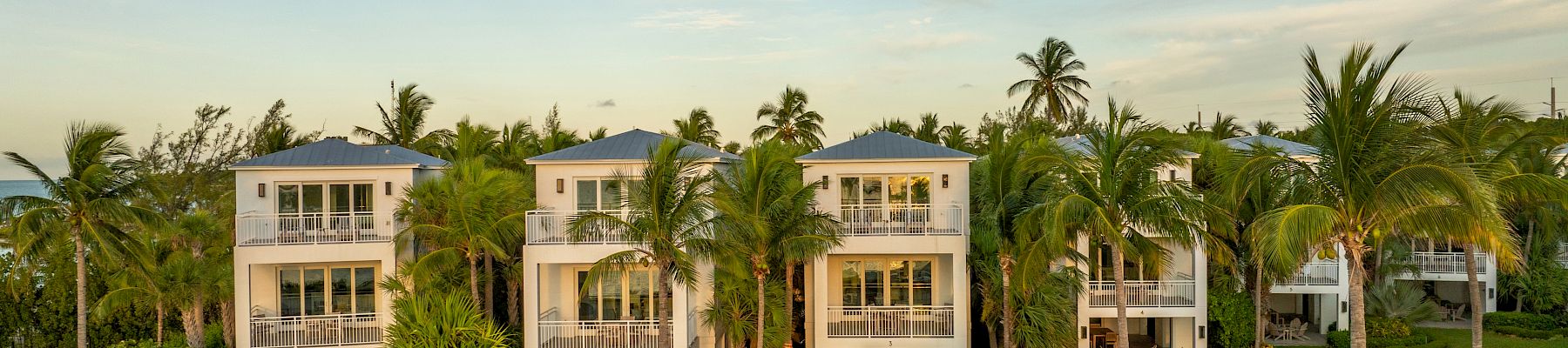 The image shows several beachfront houses surrounded by palm trees, with a path and a waterway in the foreground under a clear blue sky.