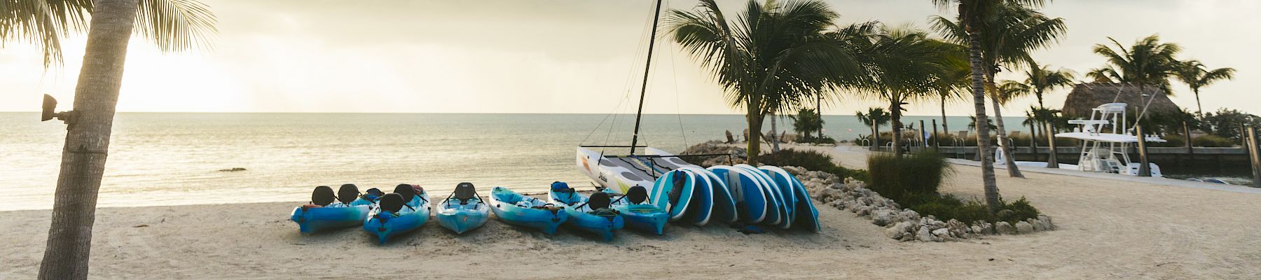 A sunny beach scene with palm trees, stacked blue kayaks on the sand, and a calm sea under a partly cloudy sky, peaceful seaside vibes.