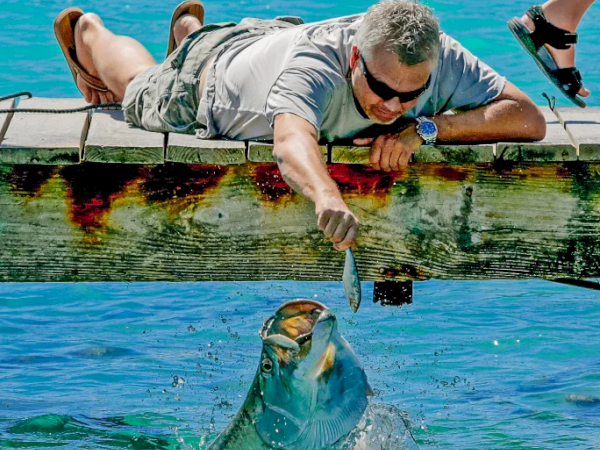 A man on a dock feeds a large fish leaping toward him, while another person sits nearby by the water.