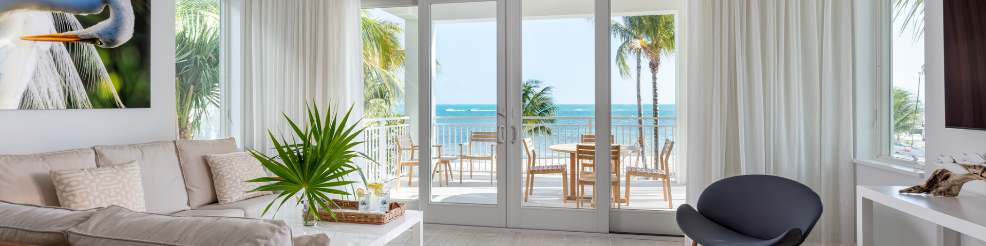 Bright beach-view living room with sofas, chairs, and palm trees outside through large glass doors, plus a cat nearby.
