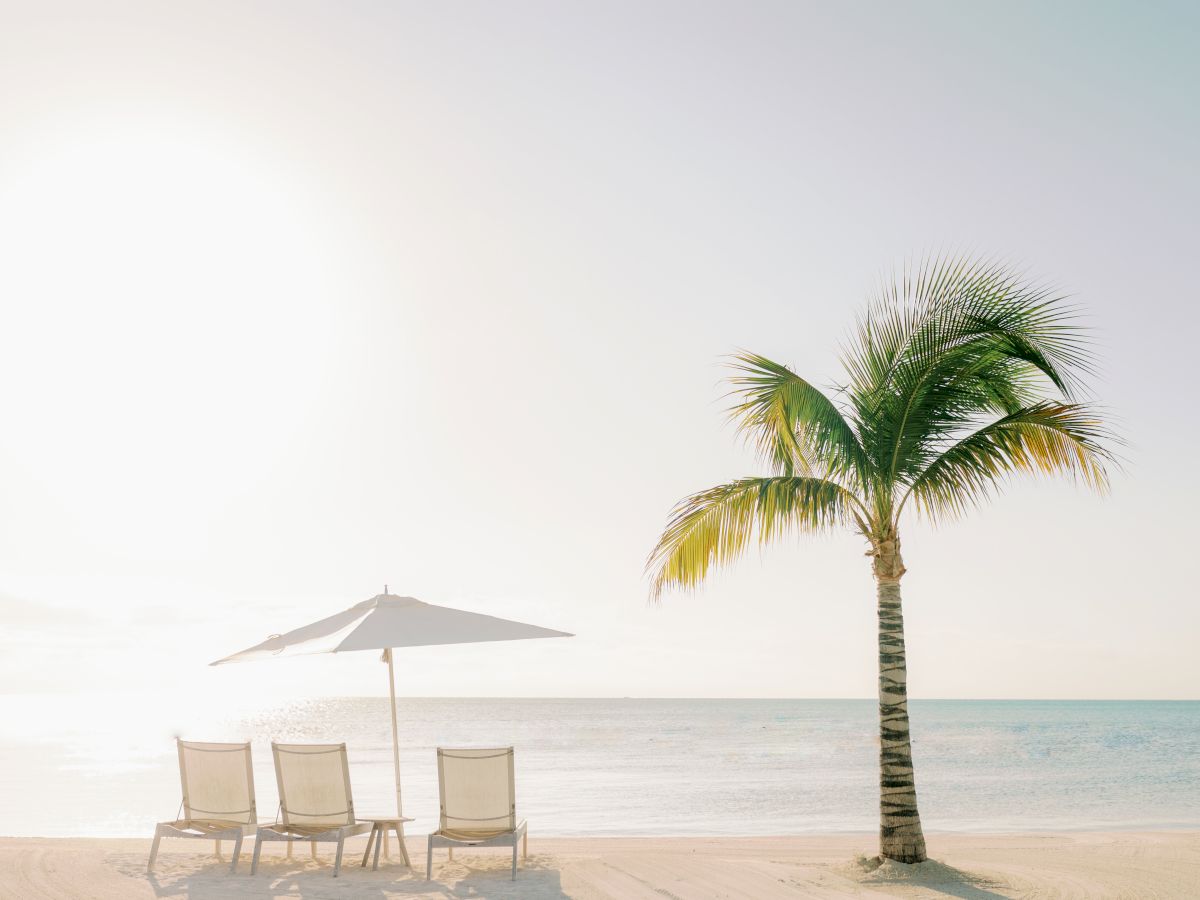 A sunny beach scene with a palm tree, ocean waves, a white umbrella, and several lounge chairs.