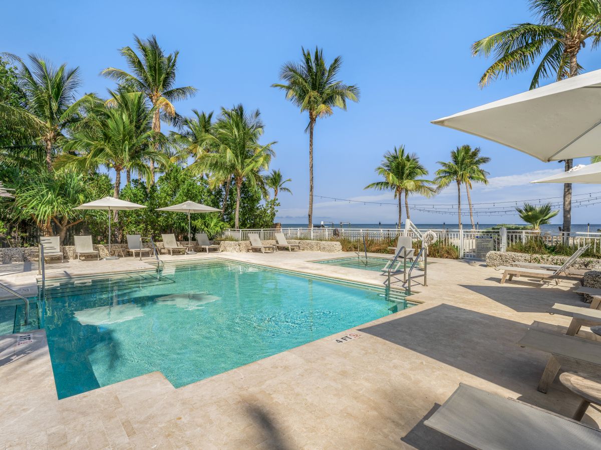 A tropical resort pool with lounge chairs, umbrellas, and tall palm trees overlooking the ocean under a bright blue sky.